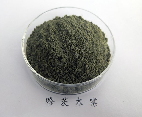 哈茨木霉的產(chǎn)品特點 哈茨木霉的產(chǎn)品特點